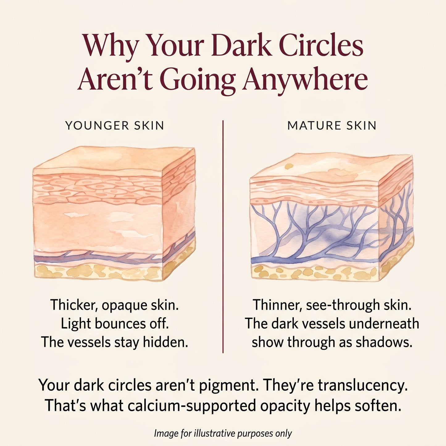 Calcium Bright Eye Cream